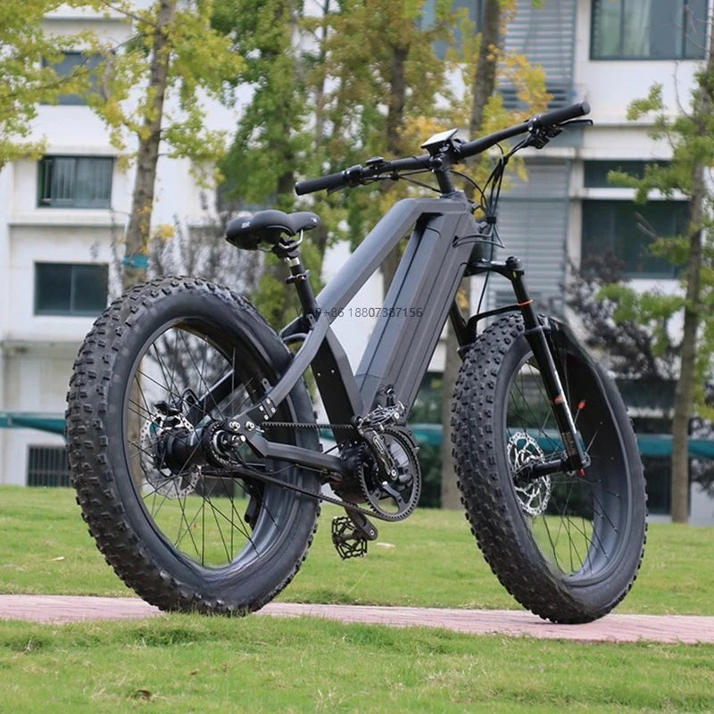 14 Speed Electric Mountain Bike Snow Bicycle 1000W Bafang M620 Mid