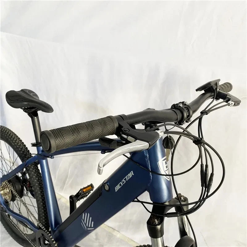 Electric Bike 500w 1000w E-bike Bicycle