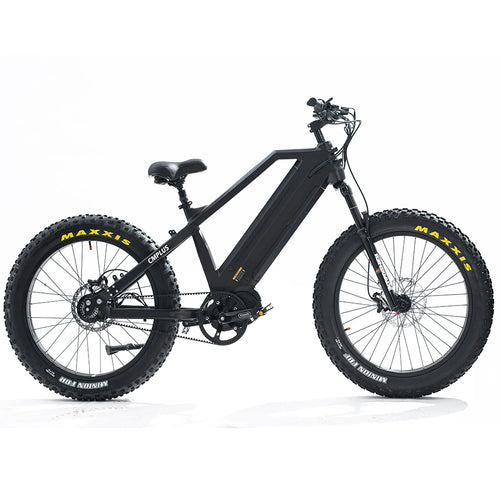 14 Speed Electric Mountain Bike Snow Bicycle 1000W Bafang M620 Mid