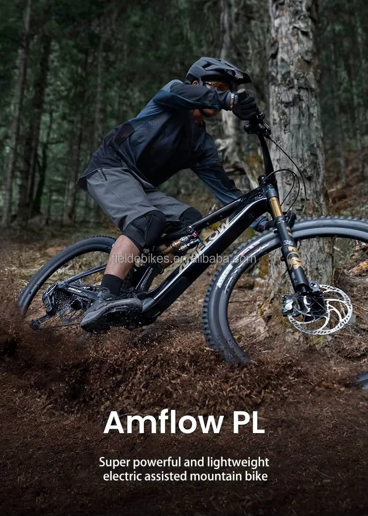 Amflow PL Carbon E-Mountain Bike D J I Avinox Drive System Integrated