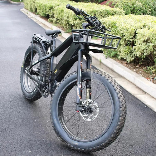14 Speed Electric Mountain Bike Snow Bicycle 1000W Bafang M620 Mid