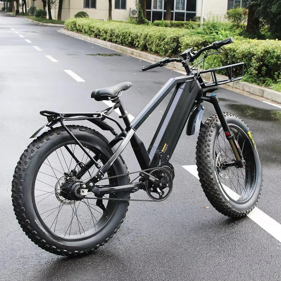 14 Speed Electric Mountain Bike Snow Bicycle 1000W Bafang M620 Mid