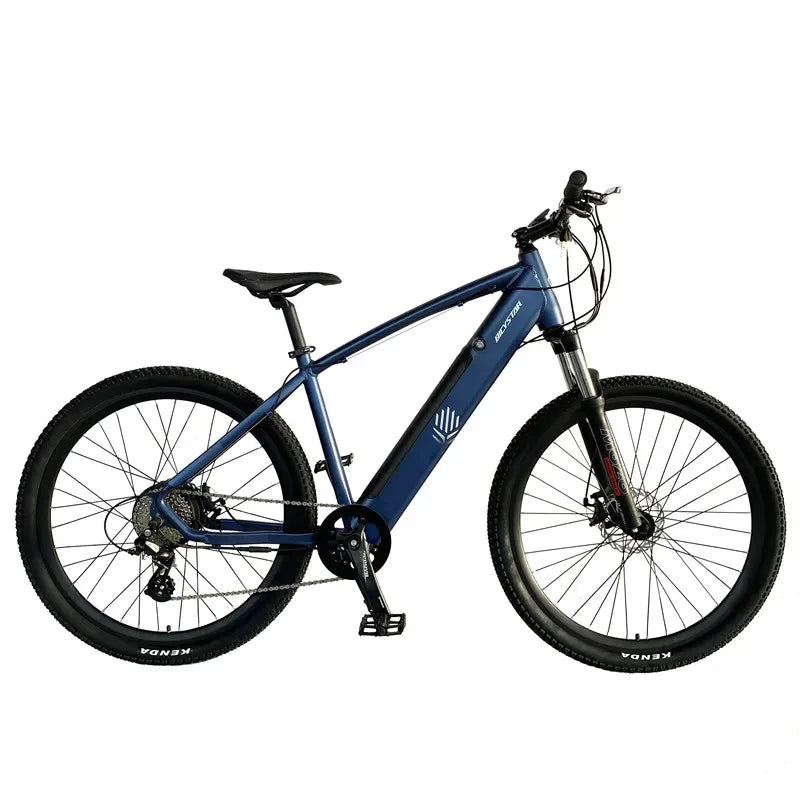 Electric Bike 500w 1000w E-bike Bicycle
