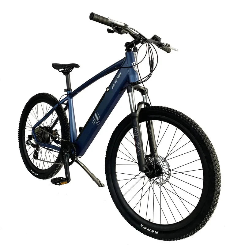 Electric Bike 500w 1000w E-bike Bicycle