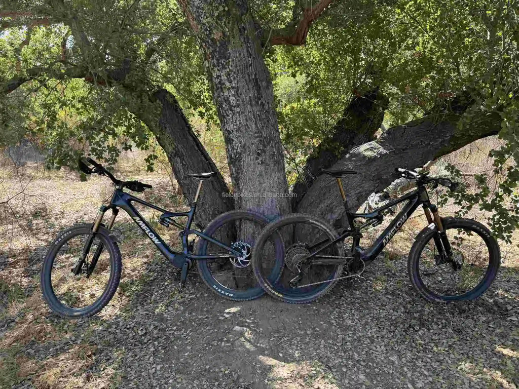 Amflow PL Carbon E-Mountain Bike D J I Avinox Drive System Integrated