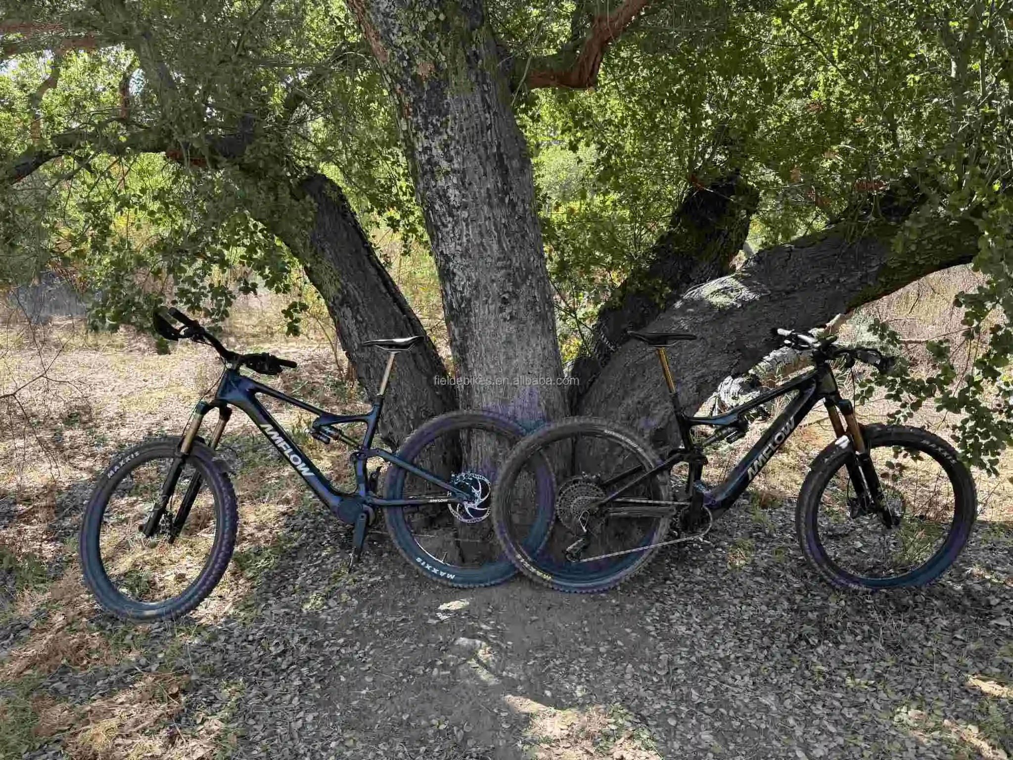 Amflow PL Carbon E-Mountain Bike D J I Avinox Drive System Integrated