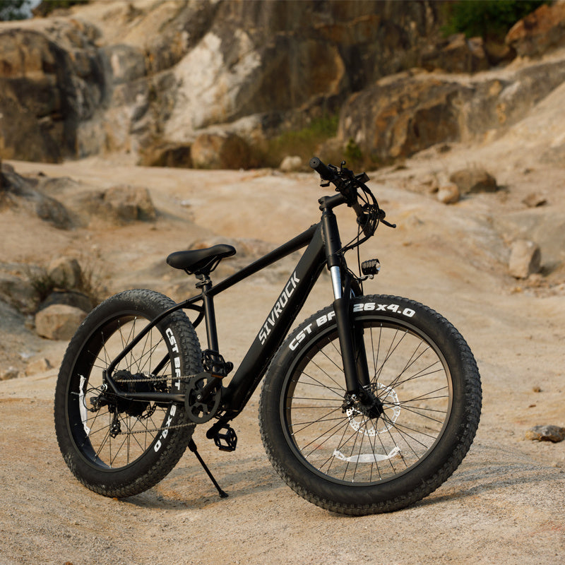 Professional Electric Bike For Adults, 26 X 4.0 Inches Fat Tire